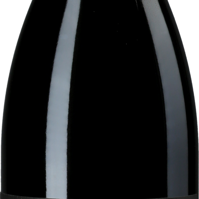 Pinot Noir – Thomas Studach – 2021