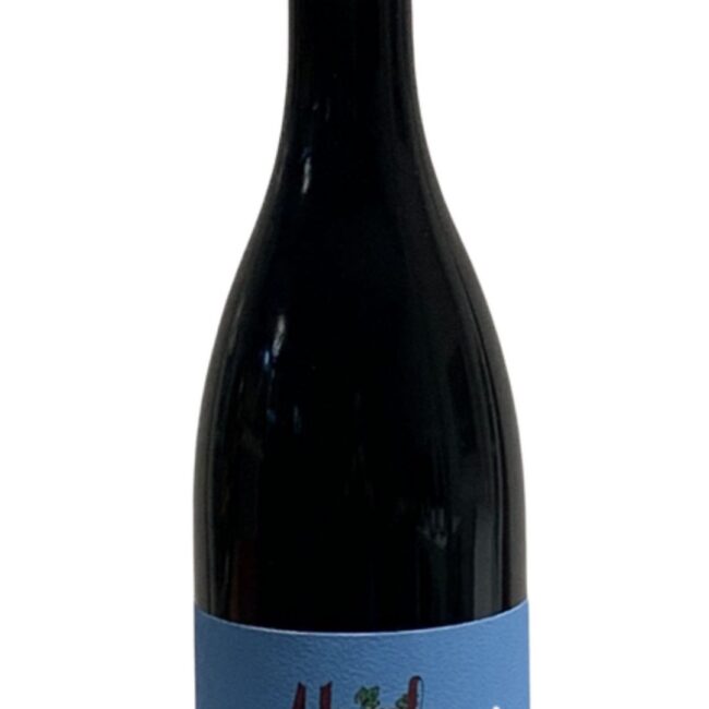 Pinot Noir Zizers AOC Graubünden – Attila Florian – 2023