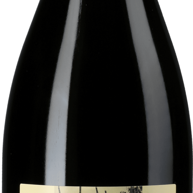 Jaspis Zipsin Pinot Noir – Hanspeter Ziereisen – 2020