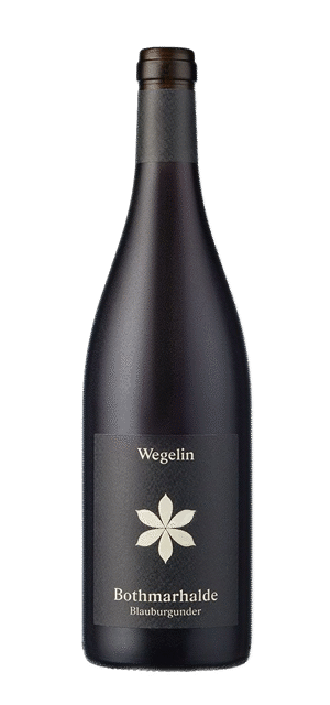 Bothmarhalde Blauburgunder Graubünden AOC - Weingut Scadenagut Wegelin - 2019