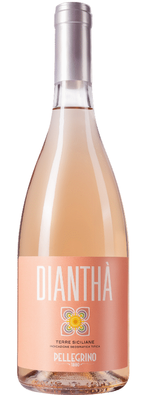 Dianthà Rose Terre Siciliana IGT -  Pellegrino - 2024
